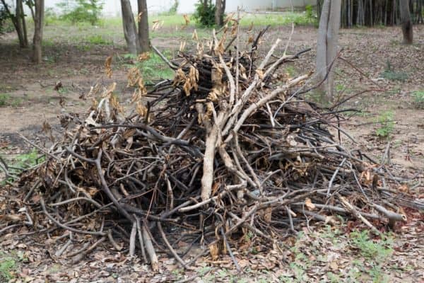 Piles of sticks in need of yard debris removal services in Livermore