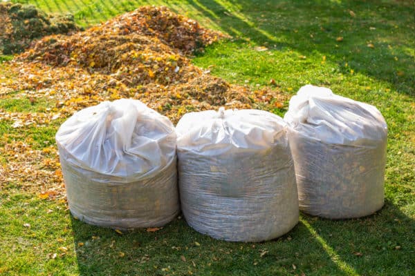 Bags of leaves during yard debris removal services in Livermore