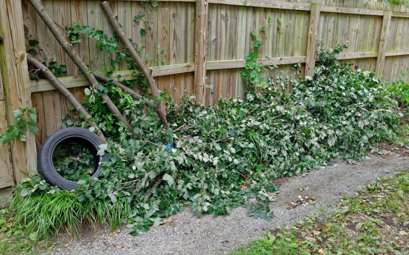 Piles of yard debris in need of yard waste removal services